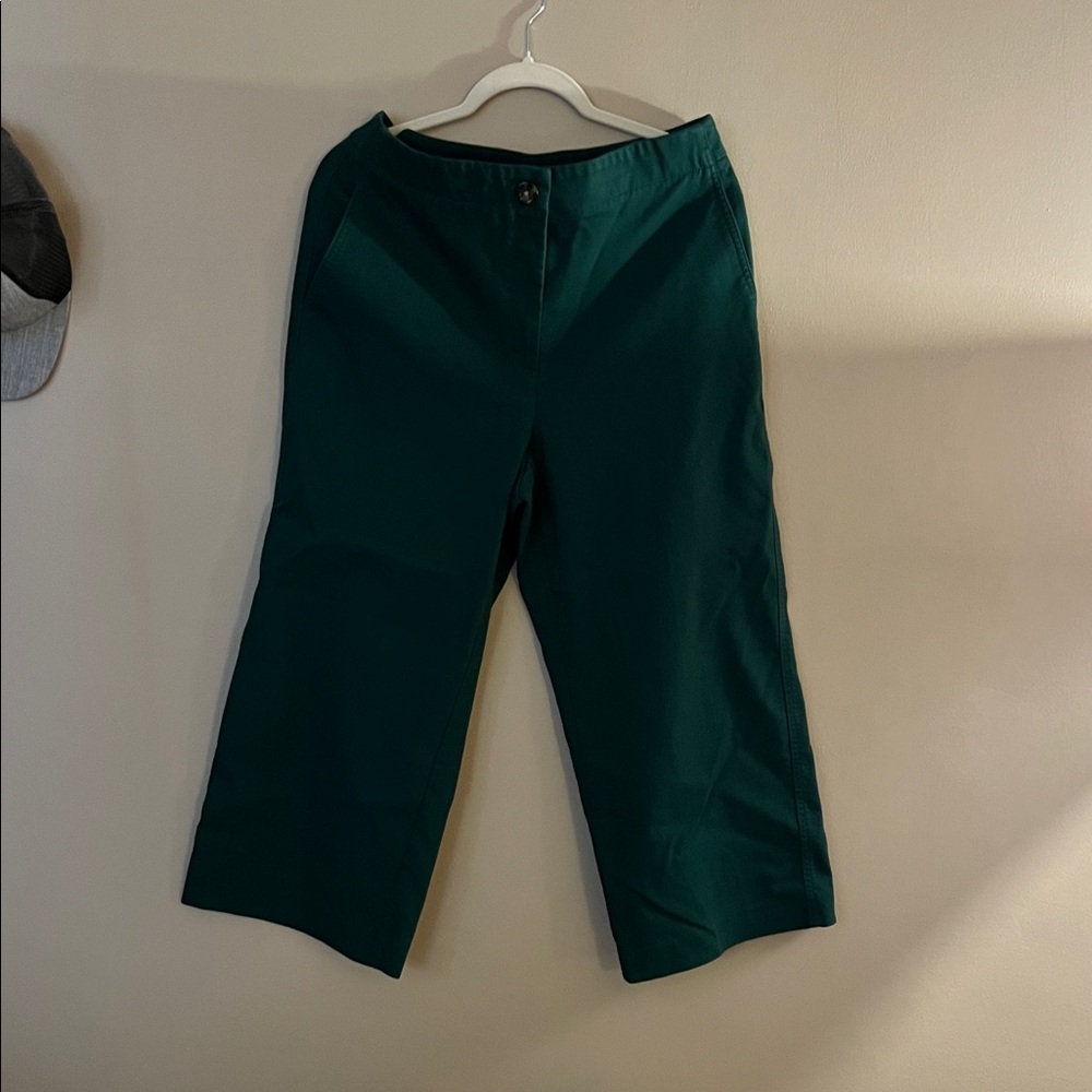 Ann Taylor Green Cropped Pants